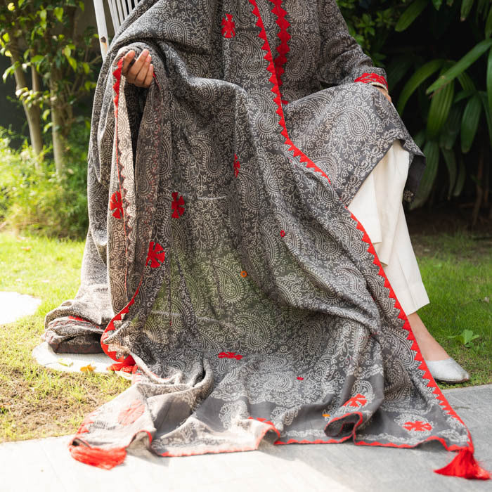 Crimson Threads – Grey Duppatta Suit with Red Appliqué