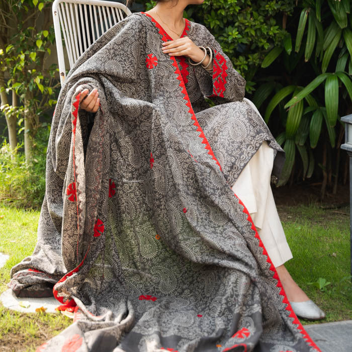 Crimson Threads – Grey Duppatta Suit with Red Appliqué