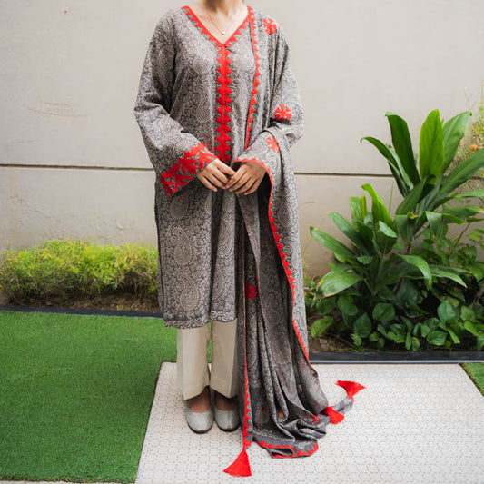 Crimson Threads  – Grey Ajrak Suit with Red Appliqué