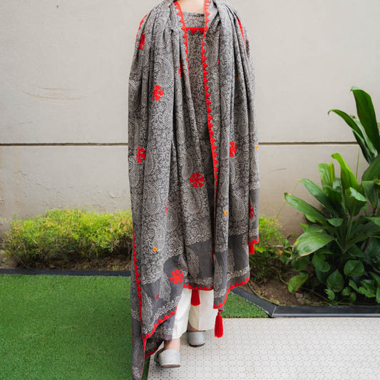 Crimson Threads  – Grey Duppatta Suit with Red Appliqué