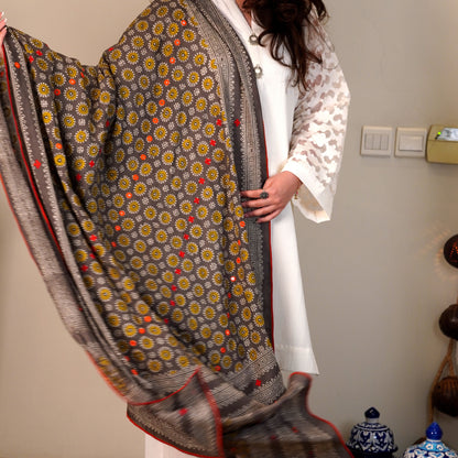 Terra Threads - Grey Ajrak Dupatta